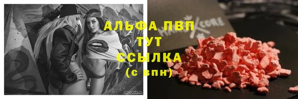крисы Краснослободск