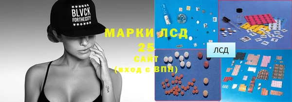 крисы Краснослободск