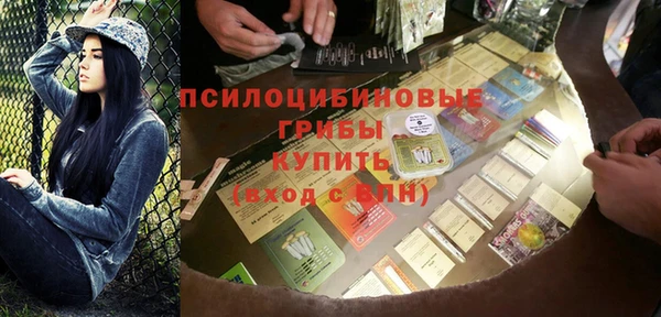 крисы Краснослободск