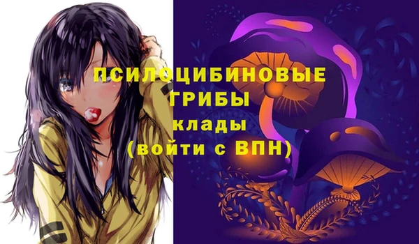 МДПВ Красноперекопск