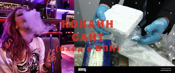 крисы Краснослободск