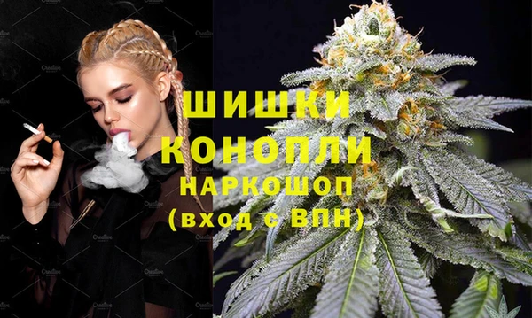 крисы Краснослободск