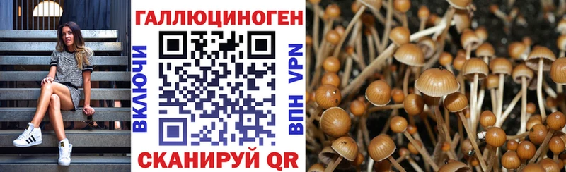 Псилоцибиновые грибы Cubensis  Фокино 